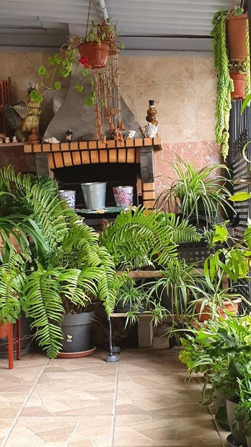 Casa Rural El Puente Taganana Dış mekan fotoğraf