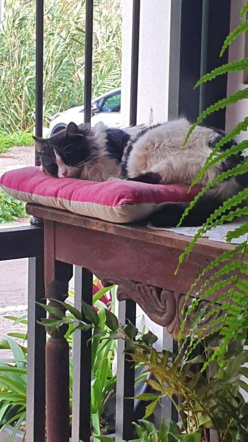 Casa Rural El Puente Taganana Dış mekan fotoğraf